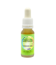 Farbessenz Grün (15ml)